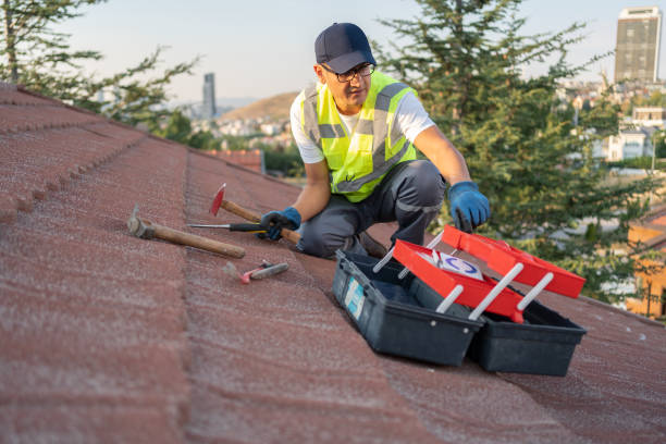 Best Fascia and Soffit Installation  in Fall Creek, WI